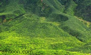 اجمل المناظر الطبيعية في ماليزيا - صحيفة هتون الدولية