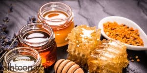 تعرف علي فوائد العسل مع حبة البركة -صحيفة هتون الدولية