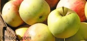 فوائد تناول التفاح على صحة الجسم -صحيفة هتون الدولية