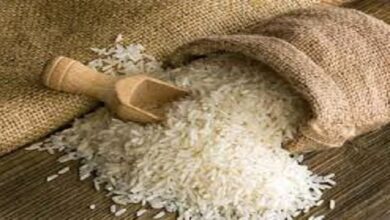 فوائد فى الأرز البسمتى تجعلك تاكله كل يوم -صحيفة هتون الدولية
